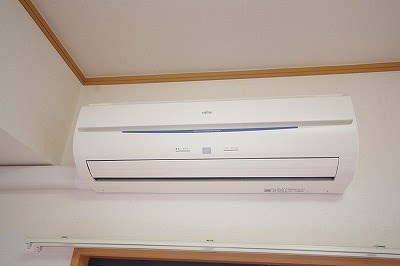 エヴァーグリーンＮ その他20