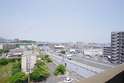 エヴァーグリーンＮ その他23