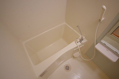 エヴァーグリーンＮ 風呂画像