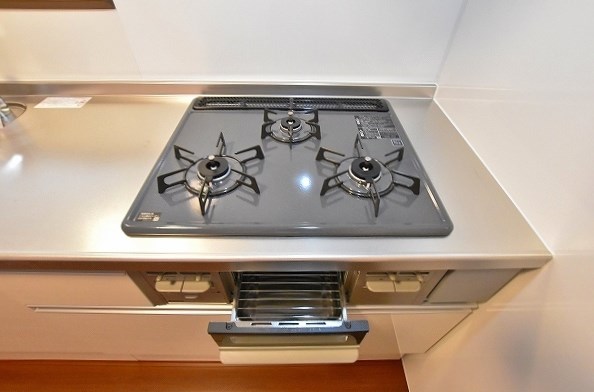 Ｇｒａｎｄ　Ｓｏｌｅｉｌ(グランドソレーユ)　B棟 その他25