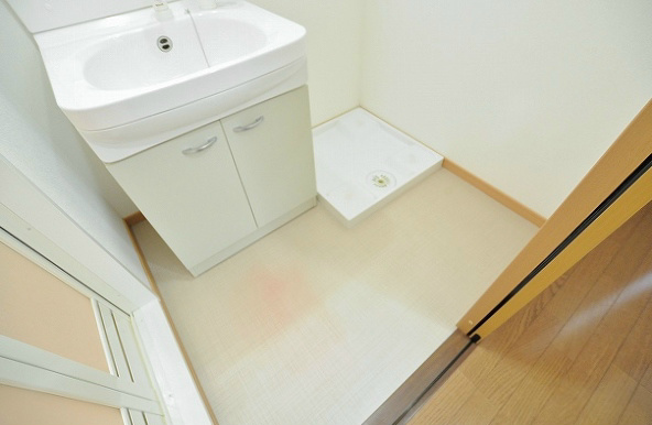 GRAVIS(グラヴィス) その他1