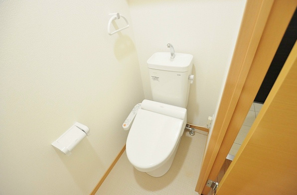 GRAVIS(グラヴィス) その他2