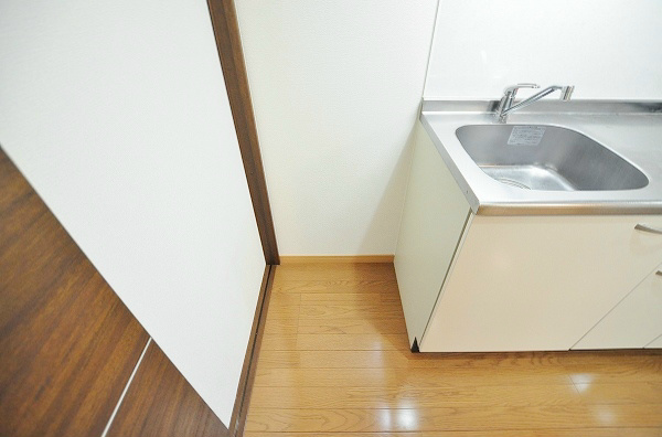 GRAVIS(グラヴィス) その他25