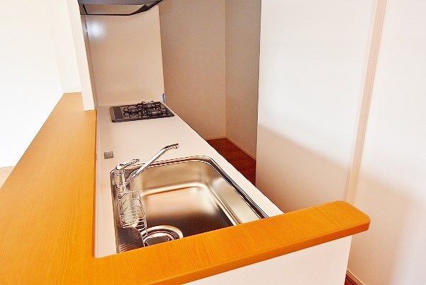 サンシャイン・サファイア・プリンセス戸畑 その他22