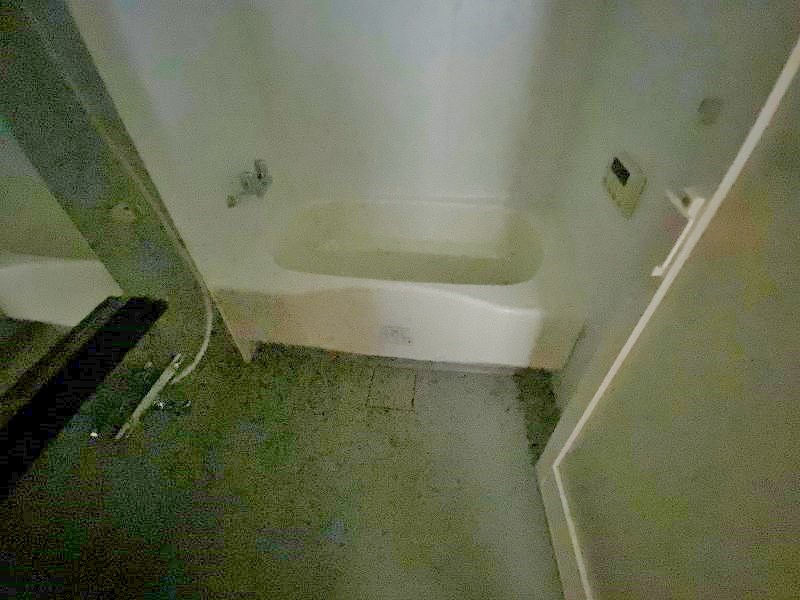 ニューガイア高野  その他8