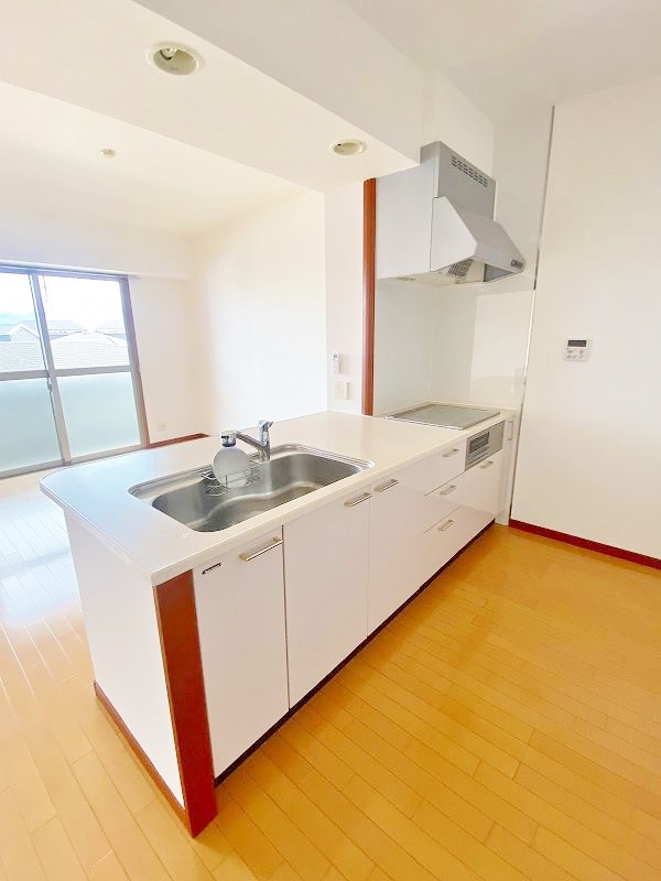 ニューガイア高野  キッチン