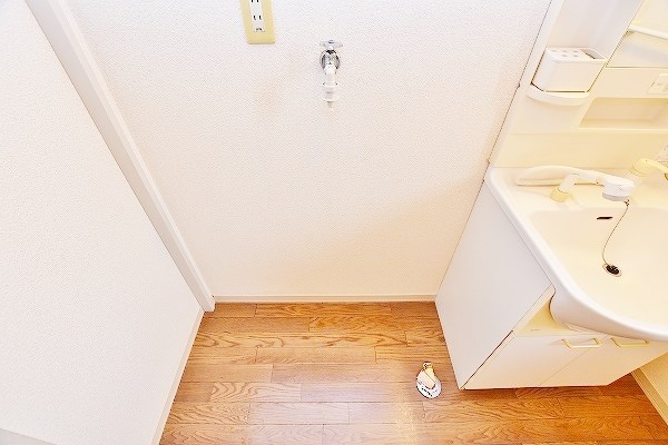 エヴァーグリーン紫の池　Ｃ棟 その他18