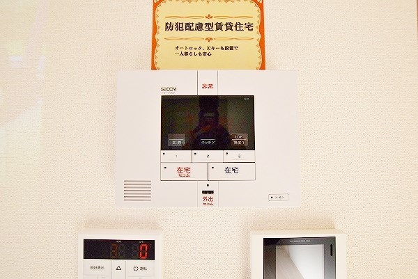 Ｒｅｃｉｅｎｔｅ　Ｓｏｕｔｈ（レシェンテ　南） その他3