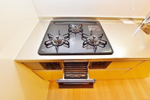 Ｒｅｃｉｅｎｔｅ　Ｓｏｕｔｈ（レシェンテ　南） その他22