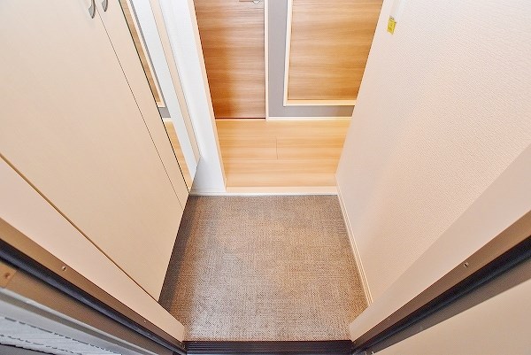 Ｒｅｃｉｅｎｔｅ　Ｓｏｕｔｈ（レシェンテ　南） その他9