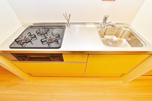 Ｒｅｃｉｅｎｔｅ　Ｓｏｕｔｈ（レシェンテ　南） その他25