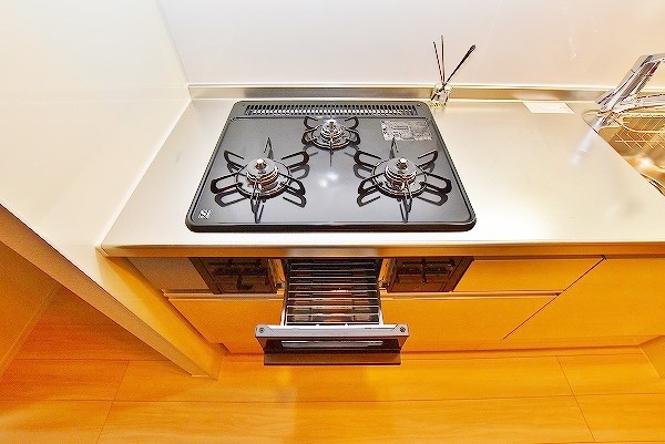 Ｒｅｃｉｅｎｔｅ　Ｓｏｕｔｈ（レシェンテ　南） その他26