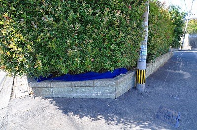 ハイム恵里 その他外観3