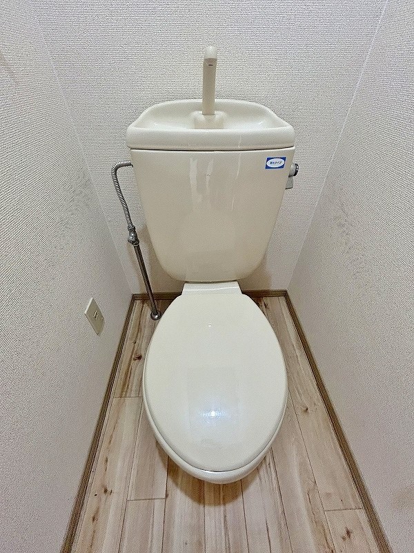 ルーチェ その他2