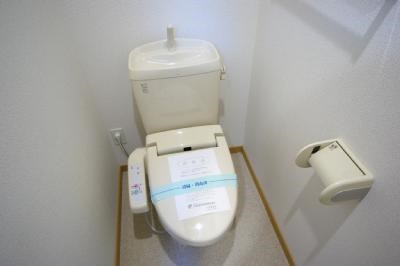 エヴァーグリーンＮ その他2