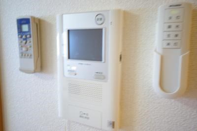 エヴァーグリーンＮ その他3