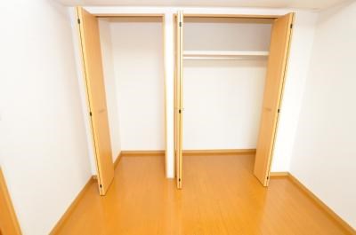 エヴァーグリーンＮ その他4