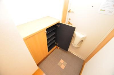 エヴァーグリーンＮ その他6