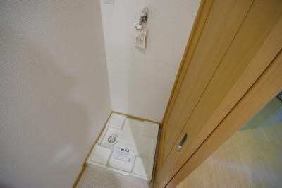 エヴァーグリーンＮ その他13