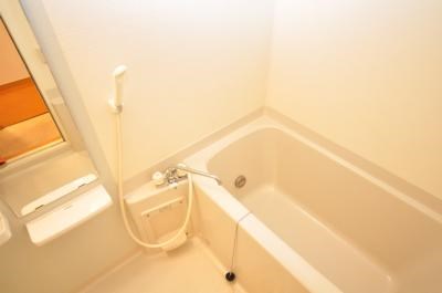 エヴァーグリーンＮ その他14