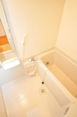 エヴァーグリーンＮ その他15