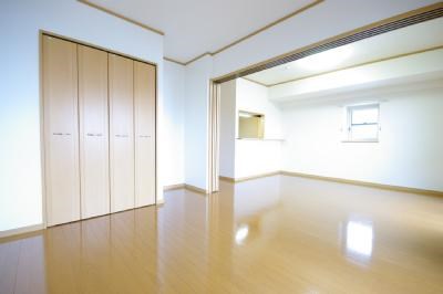 エヴァーグリーンＮ その他20