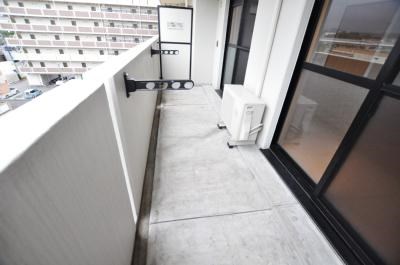 エヴァーグリーンＮ その他22