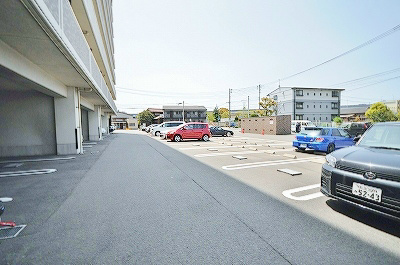 エヴァーグリーンＮ その他24