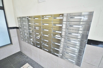 エヴァーグリーンＮ その他25