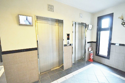 エヴァーグリーンＮ その他26