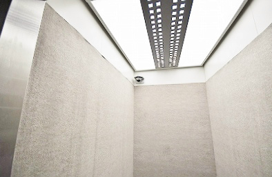 エヴァーグリーンＮ その他27