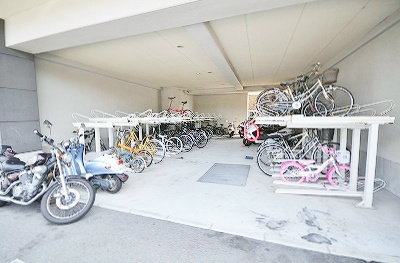 エヴァーグリーンＮ その他29