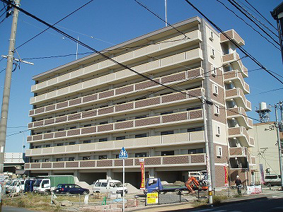 エヴァーグリーンＮ その他30