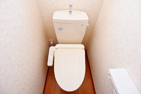 ナーセリーM その他13