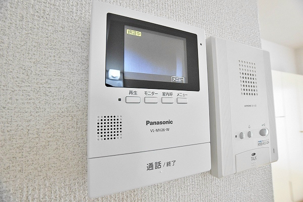 レディローザ その他3