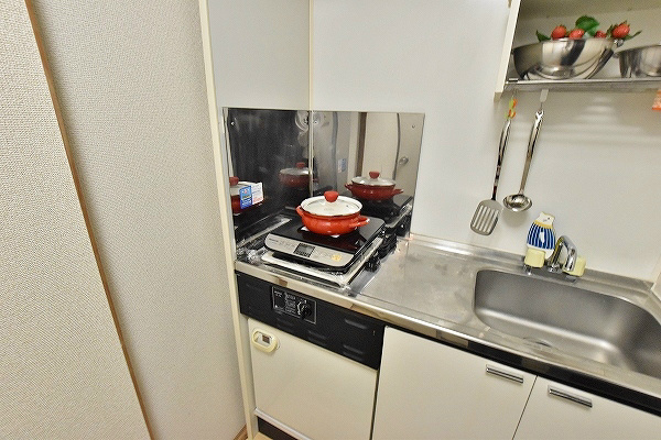 レディローザ その他13