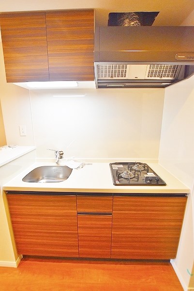 シズカビルディング白銀 その他20