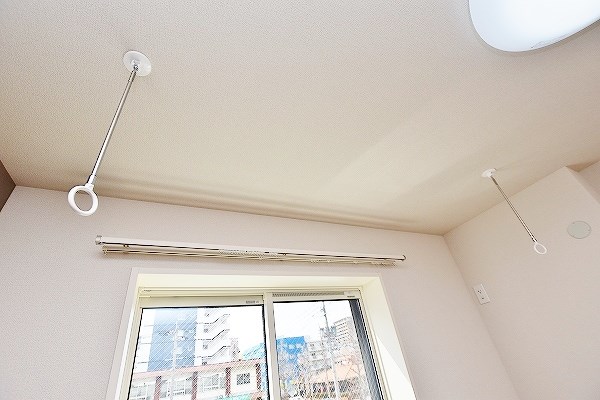 フルール・ド・ヒサノ その他42