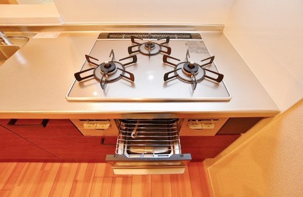 ＳｈａＭａｉｓｏｎ　Ｌｕｎａ（シャーメゾンルナ） その他30