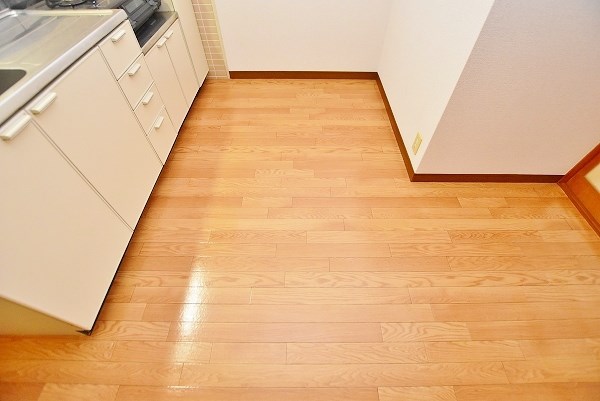 片野レジデンシャルビル その他24