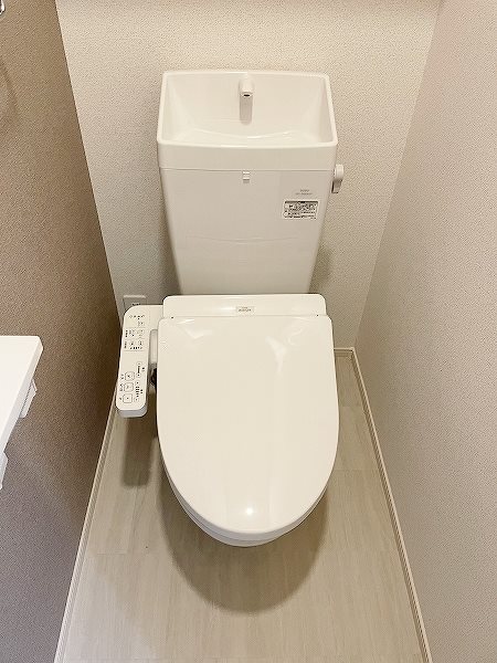 ｐｕｒｐｌｅ　ｒｉｖｅｒ　錦（パープルリバー錦） その他5
