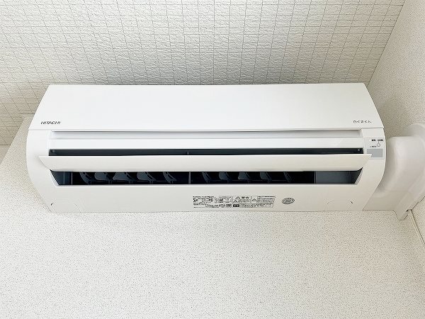 ｐｕｒｐｌｅ　ｒｉｖｅｒ　錦（パープルリバー錦） その他36