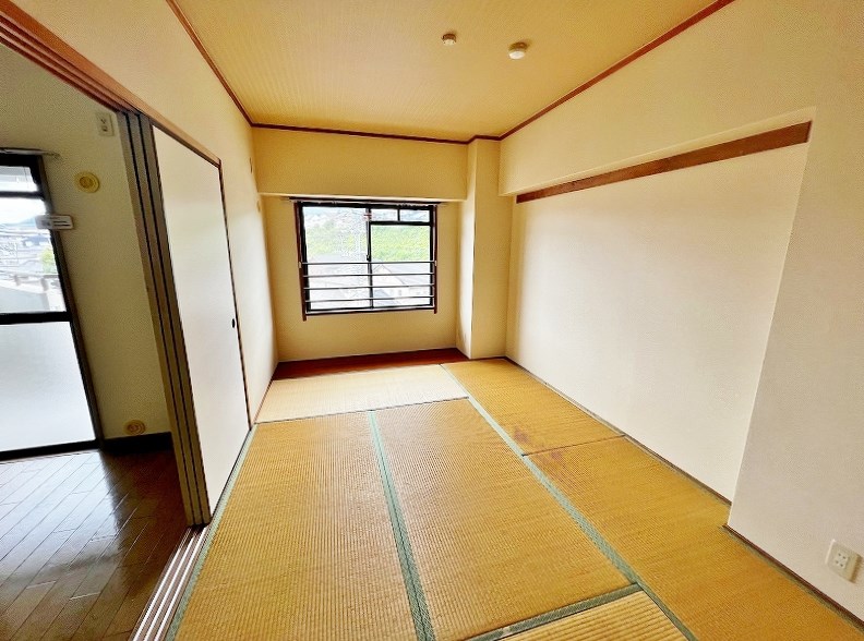 ベルデェ守恒 その他37