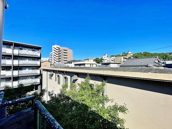 プリモレガーロ金鶏 その他24