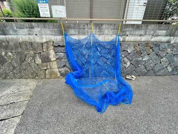 波多野ハイツ その他外観1