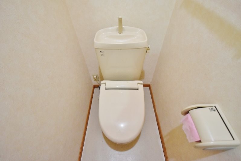 クリスマスローズⅡ その他2