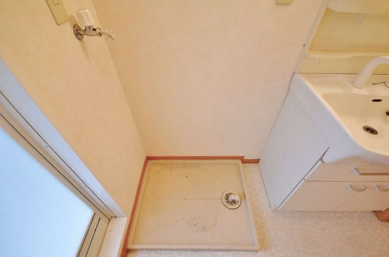 クリスマスローズⅡ その他7