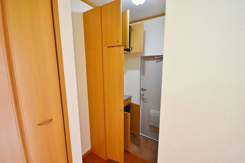 クリスマスローズⅡ その他8