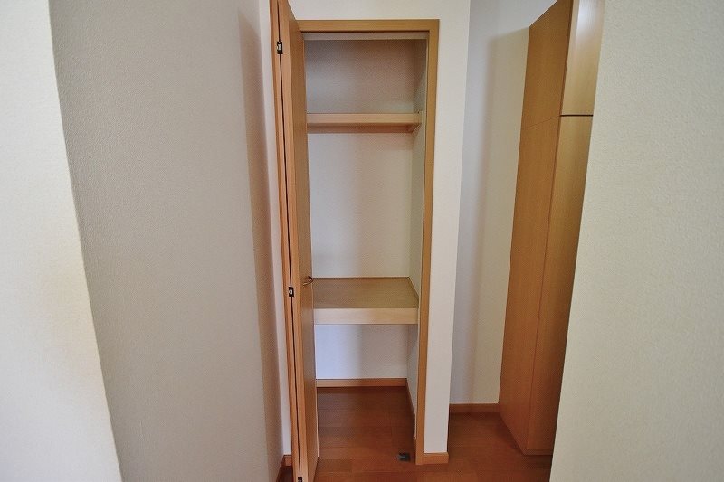 クリスマスローズⅡ その他9