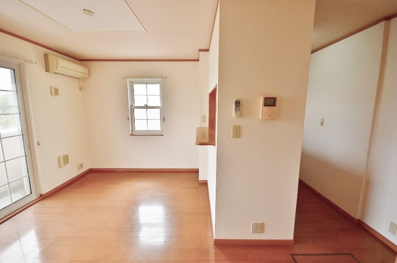 クリスマスローズⅡ その他10